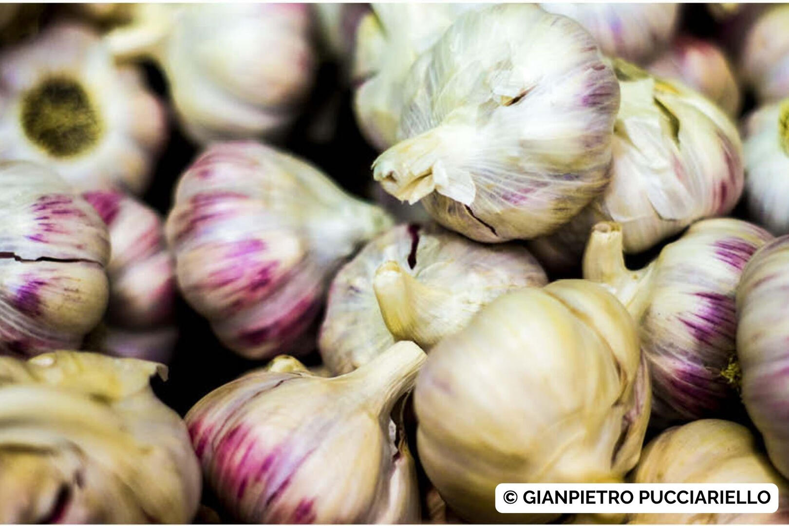 © Gianpietro Pucciariello