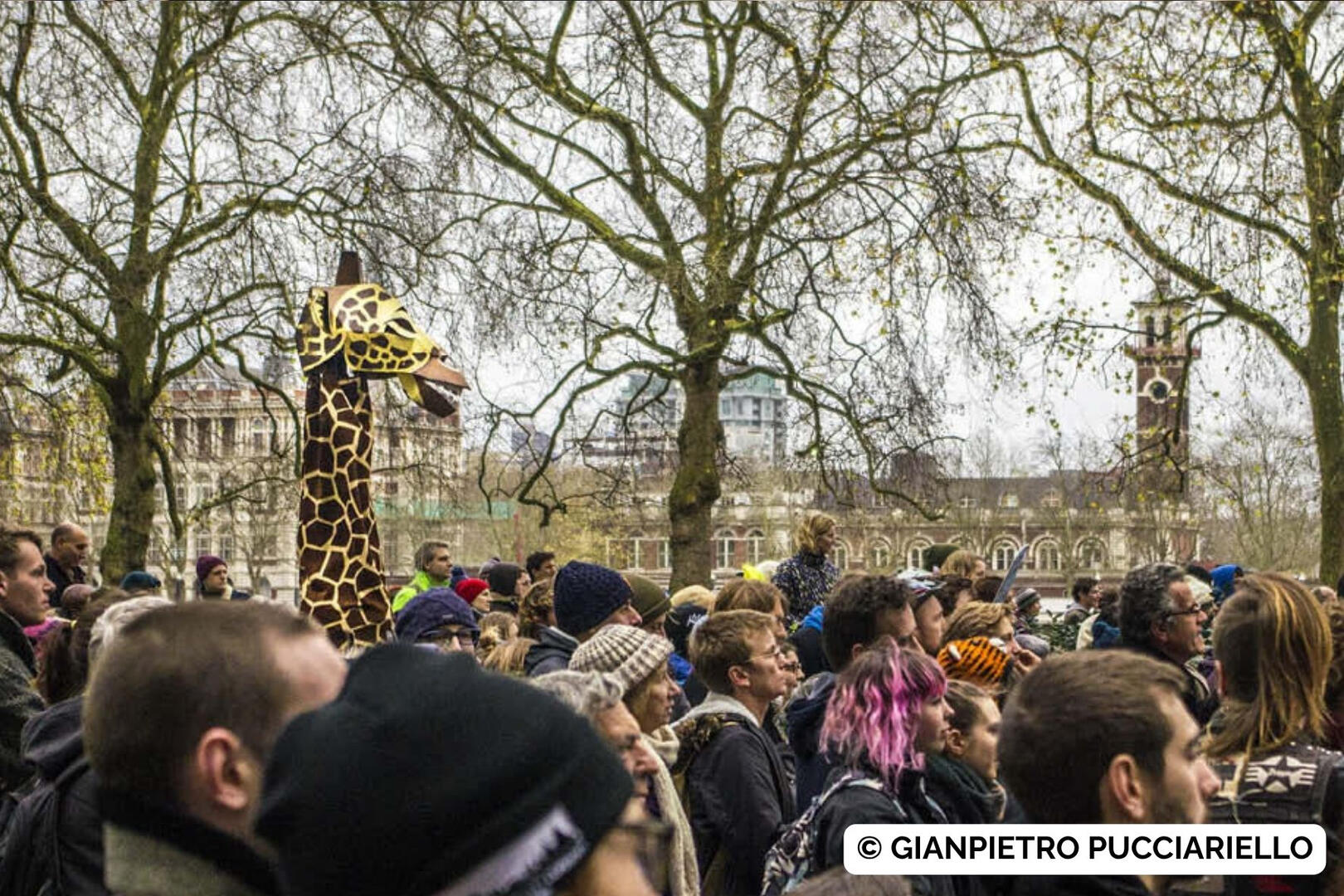 © Gianpietro Pucciariello