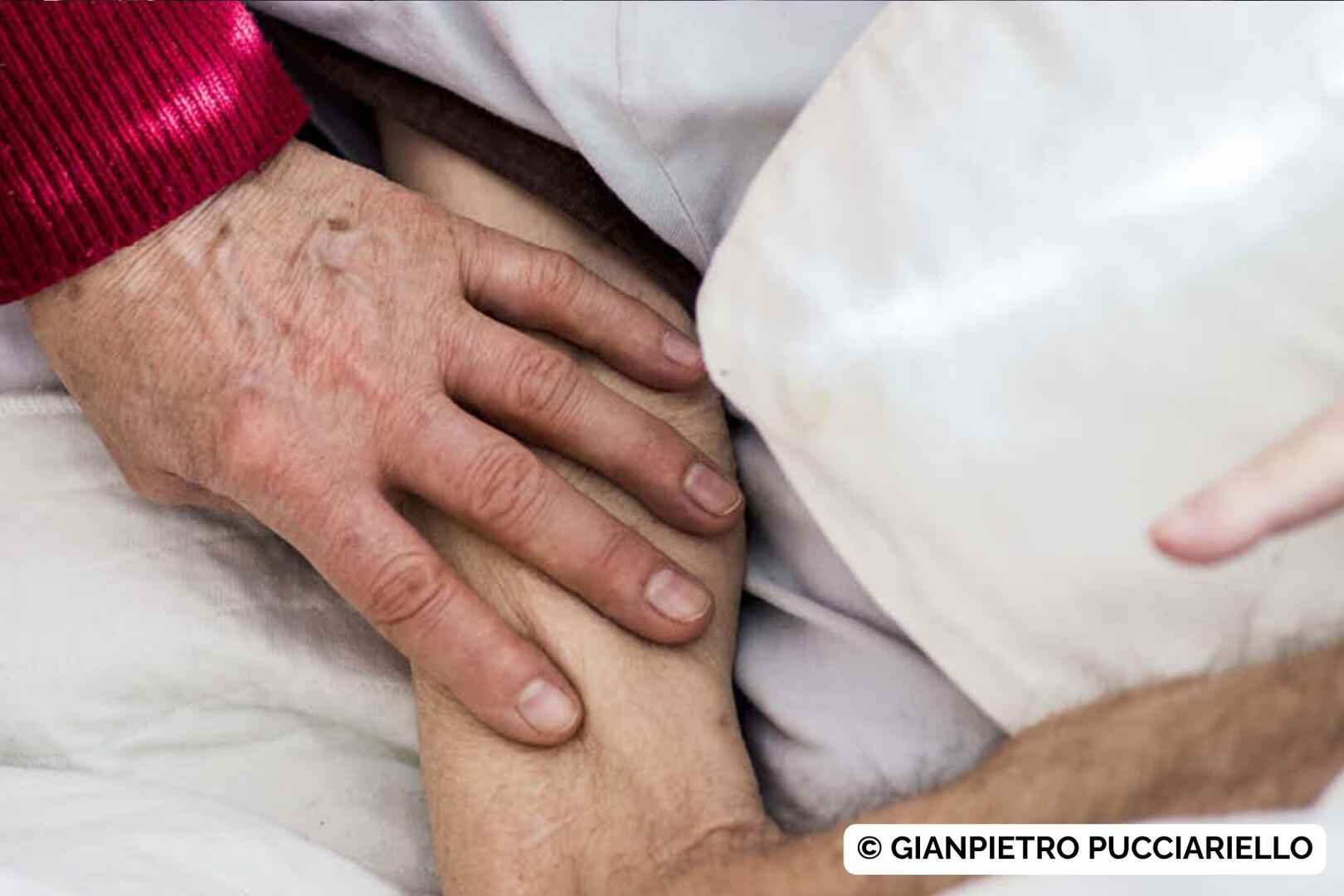 © Gianpietro Pucciariello